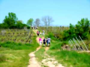 photo Marche gourmande du messti