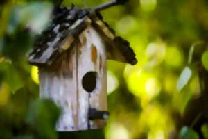 photo Fabrique ta mangeoire à oiseaux