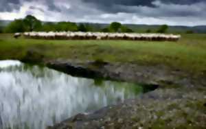 photo Regards croisés sur le paysage et la biodiversité du Mont Saint-Cyr