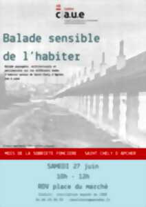 photo BALADE SENSIBLE DE L'HÂBITER