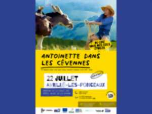 photo Ciné plein air 