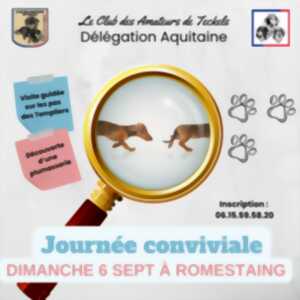 photo Journée conviviale