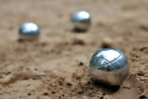 photo Concours de pétanque en doublette