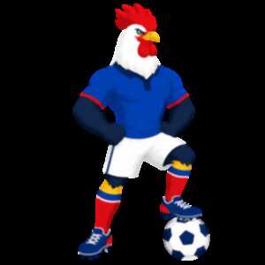 photo Match France-Norvège