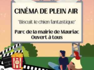 photo Cinéma en plein air : 