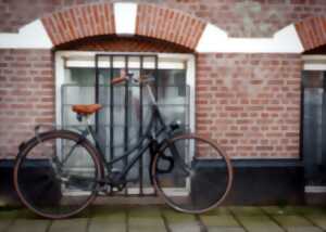 photo Balade douce à vélo en famille