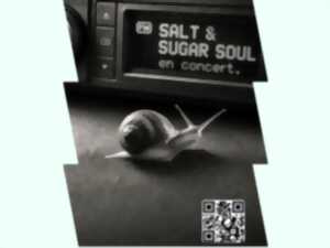 photo Concert salt & sugar soul