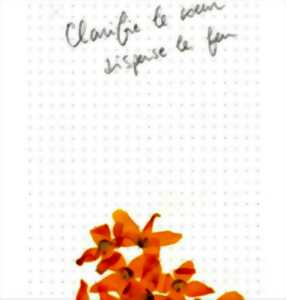 photo Exposition Clarifie le Coeur, Disperse le Feu, de Socheata Canto-Aing