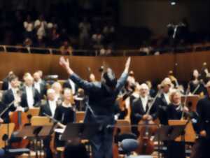 photo Concert: Cordes sensibles par l'OSPB