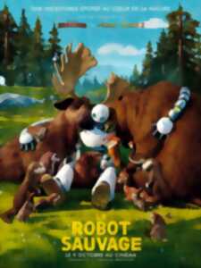 photo Cinéma en plein air : Le Robot Sauvage