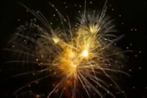 photo Feu d'artifice à Marval