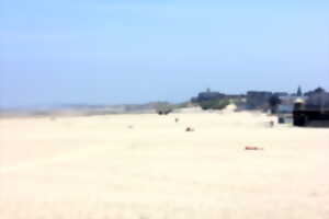 photo Mon Village Vacances - Nettoyage de plage