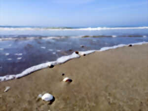 photo Mon Village Vacances - Éveil du corps et relaxation face à la mer