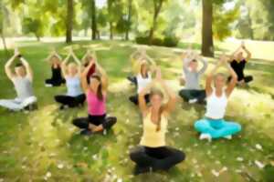 photo Bougez tout l'été - Yoga
