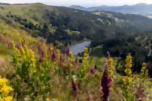 photo Exposition « Des Plantes & des Hommes »