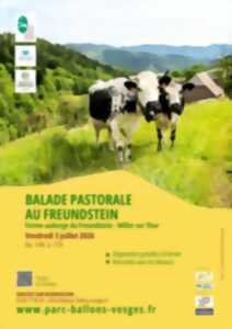 photo Balade pastorale : la balade du Freundstein