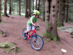 photo Stage VTT - Les biclous tout terrain 8 - 9 ans