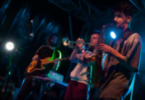 photo Concert : Cookie Banquise