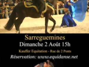 photo Spectacle EquiDanse