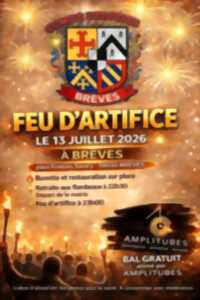 photo Feu d'artifice de Brèves