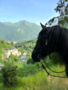 photo Balade à cheval dans le jardin