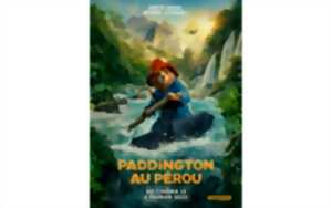 photo Paddington au Pérou