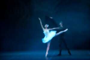 photo Le Lac des Cygnes - Sofia City Ballet