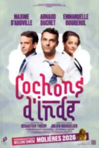 photo Cochons d'inde