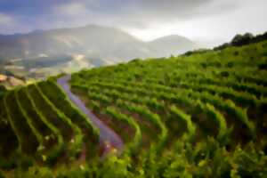 photo La guinguette des vignerons
