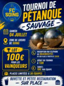 photo Tournoi de pétanque sauvage