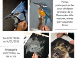 photo Expositions et restitution