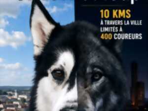 photo Entre chien et loups
