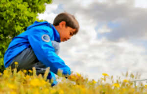 photo Découverte de la biodiversité
