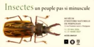 photo INSECTES ET COMPAGNIE