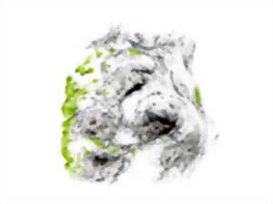photo Dessin, Mathilde Wolff & photographie, Jérôme Pérez - art contemporain