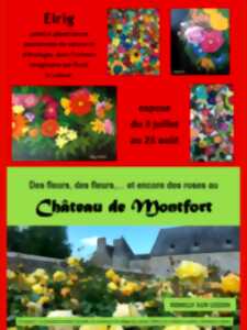 photo EXPOSITION AU CHATEAU DE MONTFORT