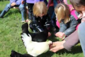 photo Atelier enfant - Mes 1ères bottes - Nourrissage des animaux de la ferme
