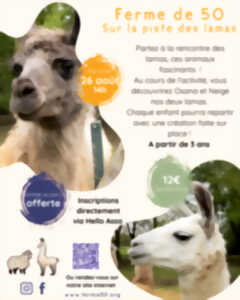 photo SUR LA PISTE DES LAMAS