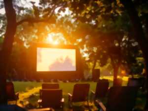 photo CINE EN FORET DE BOUCONNE