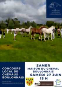 photo Concours Local de Chevaux Boulonnais