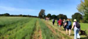 photo Marche des 3 villages
