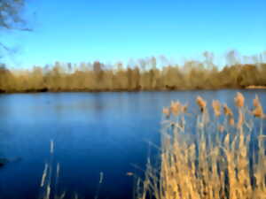 photo La vie du Trou Boully en automne