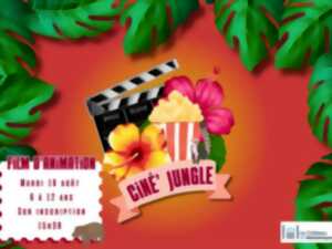 photo Médiathèque - Ciné Jungle