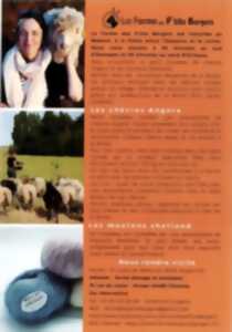 photo Agenda des animations