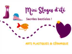 photo Mini stage d'été 