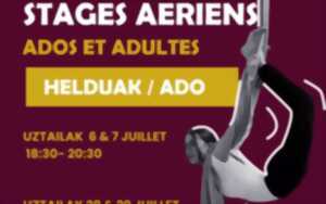 photo Stage de Cirque spécialité aériens
