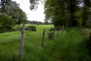 photo Randonnée douce avec Pique et Pousse en Quercy Blanc