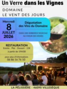 photo Un verre dans les vignes
