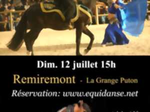 photo Spectacle EquiDanse