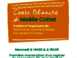 photo Carte blanche n16 : s'initier à l'impression 3D